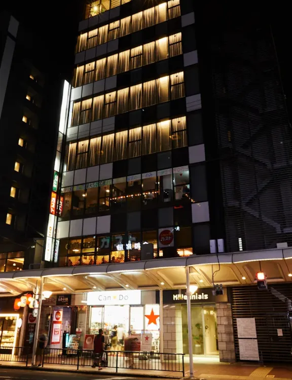 The Capsule Hotel, The Millennials